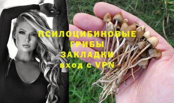 стафф Балахна