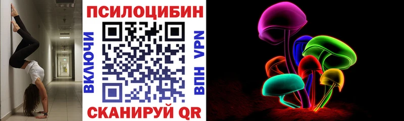 Псилоцибиновые грибы прущие грибы  Горняк 